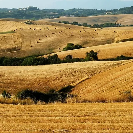 Prázdninový dům Cipressi *